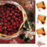 Μαυροκέρασο σε ζελέ delifruit