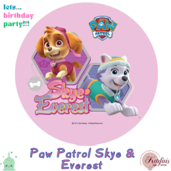 Σχέδιο τούρτας Paw Patrol 20cm
