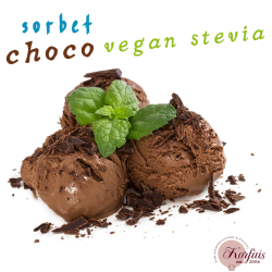 Σορμπέ σοκολάτα choco vegan stevia