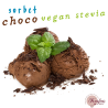 Σορμπέ σοκολάτα choco vegan stevia