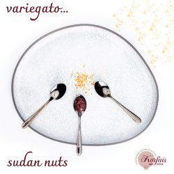 Ρίπλα peanut sudan nuts digusto