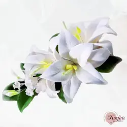 Μπουκέτο λίλιουμ
