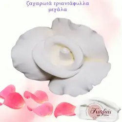 Ζαχαρωτά τριαντάφυλλα μεγάλα
