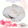 Ζαχαρωτά τριαντάφυλλα μεγάλα