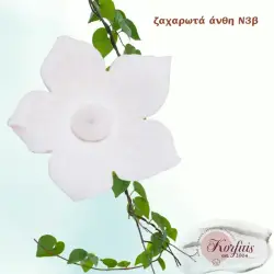 Ζαχαρωτά άνθη διακόσμησης Ν3