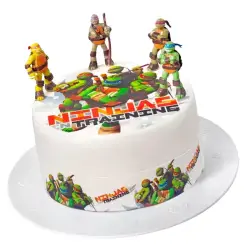 Σχέδιο τούρτας Tmnt ninja training σετ 20cm