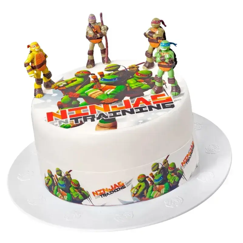 Σχέδιο τούρτας Tmnt ninja training σετ 20cm