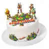 Σχέδιο τούρτας Tmnt ninja training σετ 20cm