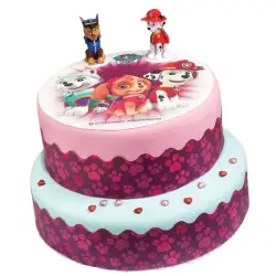 Σχέδιο τούρτας Paw patrol σετ 20cm