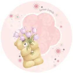 Σχέδιο τούρτας forever friend 20cm