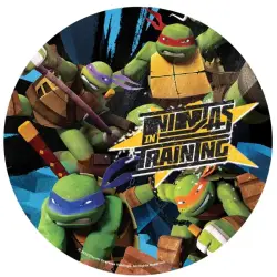 Σχέδιο τούρτας χελωνονιντζάκια tmnt 20cm