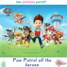 Σχέδιο τούρτας Paw Patrol 20x30cm