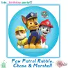 Σχέδιο τούρτας Paw Patrol 20cm