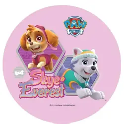 Σχέδιο τούρτας Paw Patrol 20cm