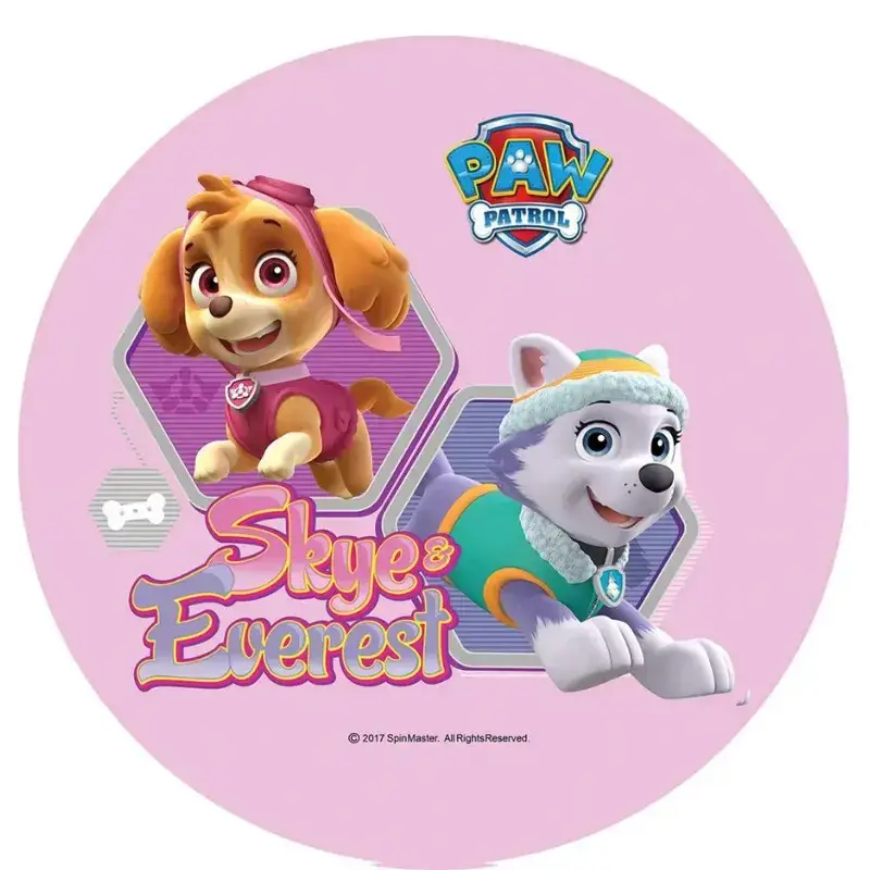 Σχέδιο τούρτας Paw Patrol 20cm