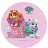 Σχέδιο τούρτας Paw Patrol 20cm