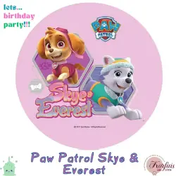 Σχέδιο τούρτας Paw Patrol 20cm