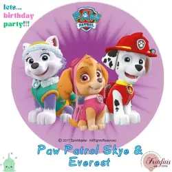 Σχέδιο τούρτας Paw Patrol 20cm