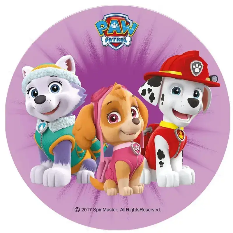 Σχέδιο τούρτας Paw Patrol 20cm