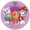Σχέδιο τούρτας Paw Patrol 20cm