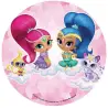 Σχέδιο τούρτας Shimmer and shine 20cm