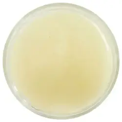 Ιμβερτοζάχαρο trimoline