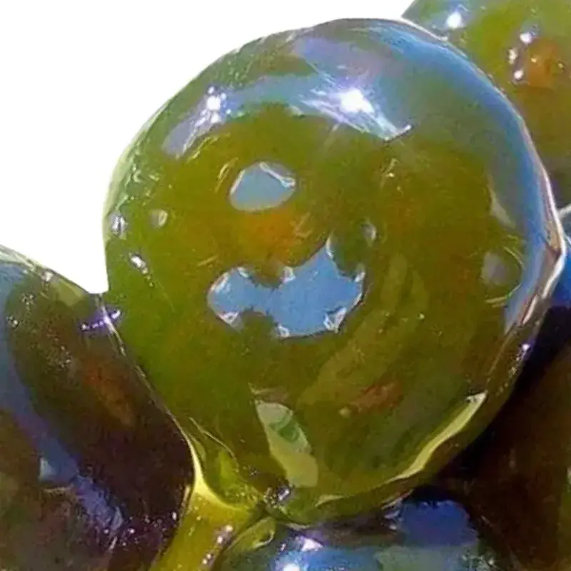 Σύκο πράσινο