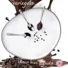 Ρίπλα πραλίνα σοκολάτας με μπισκότο choco bisc digusto