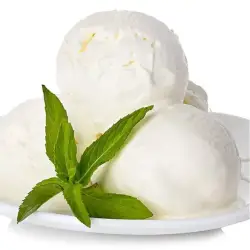 Βάση παγωτού βίγκαν στέβια vegan stevia di gusto