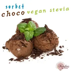 Σορμπέ σοκολάτα choco vegan stevia