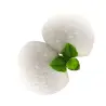 Σορμπέ λεμόνι lemon vegan stevia digusto