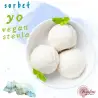 Σορμπέ γιαούρτι vegan stevia digusto