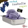 Σορμπέ σταφύλι isabella vegan
