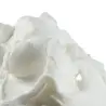 Βάση σορμπέ λεμόνι lemon 50