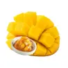 Ρίπλα variegato mango