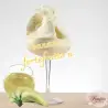 Γεύση παγωτού μπανάνα banana fortefrutto n