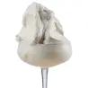 Γεύση παγωτού καρύδα cocco pasta