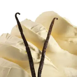Γεύση παγωτού βανίλια gusto vaniglia pura pasta
