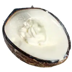 Γεύση παγωτού καρύδα cocco