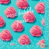 Γεύση παγωτού τσιχλόφουσκα ροζ rosa bubble paste