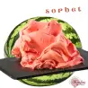 Σορμπέ καρπούζι watermelon-anguria zero